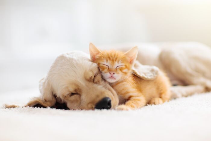 5 tips to keep allergies at bay in the bedroom